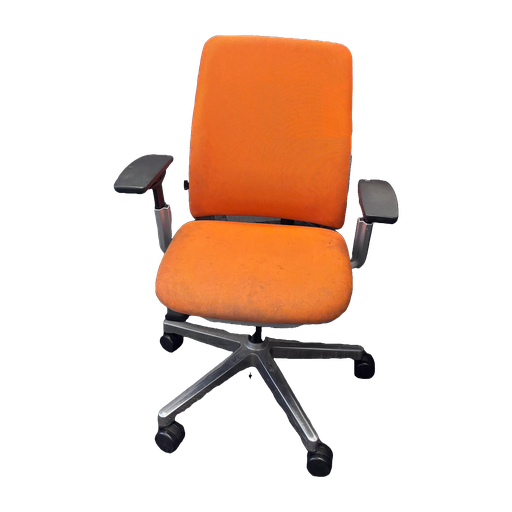 Input image
